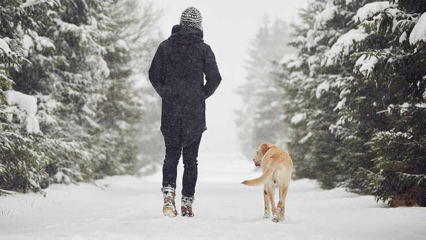 Walk with dog in snow