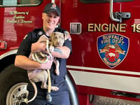 New York firefighter adopts puppy he helped rescue after she was hit by a car: 'I’d love to take her'