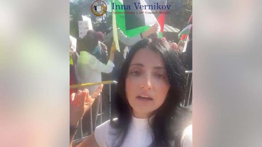 new york prosecutor drops charges against gop councilwoman who brought gun to protest in support of israel