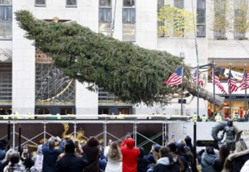 New York tradition continues with 93rd Rockefeller Center Christmas tree