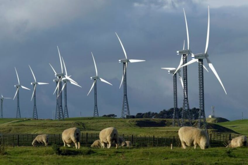 new zealand is partnering with blackrock in aim to reach 100 renewable electricity