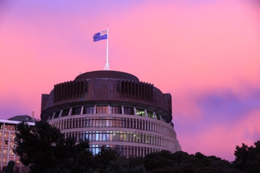 The first refugee to be elected to New Zealand's parliament has resigned after six years