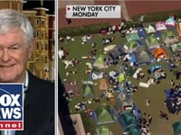 Newt Gingrich: There must be 'accountability' for colleges rife with anti-Israel chaos