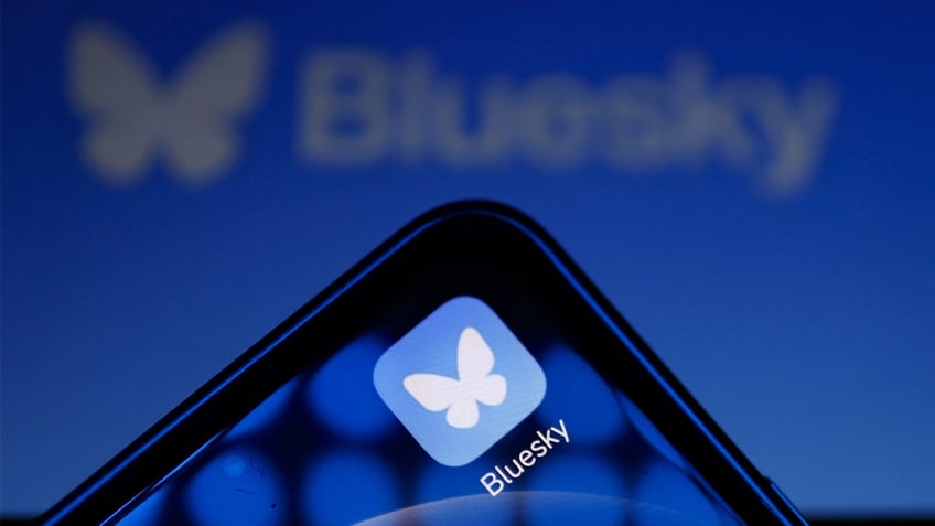 bluesky logo on phone