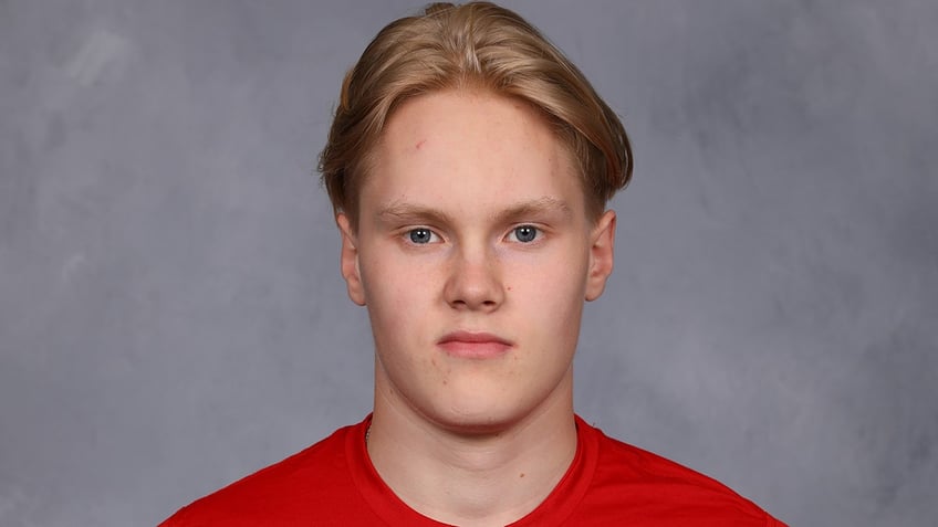 Topi Ronni NHL headshot