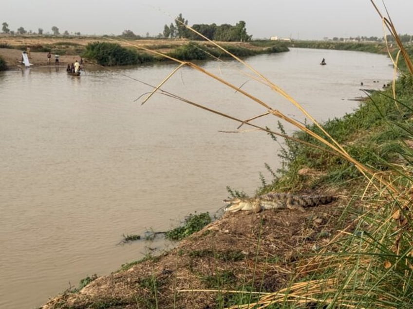 Locals say Nigeria's Matan Fada river is disappearing