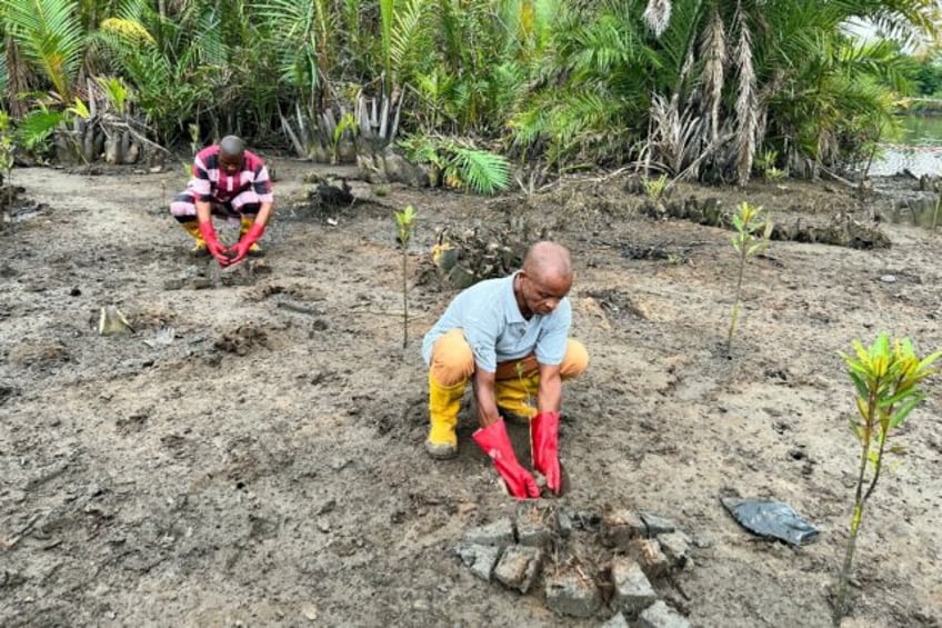 a local community leader is pushing ahead with a project to restore the spoiled forests