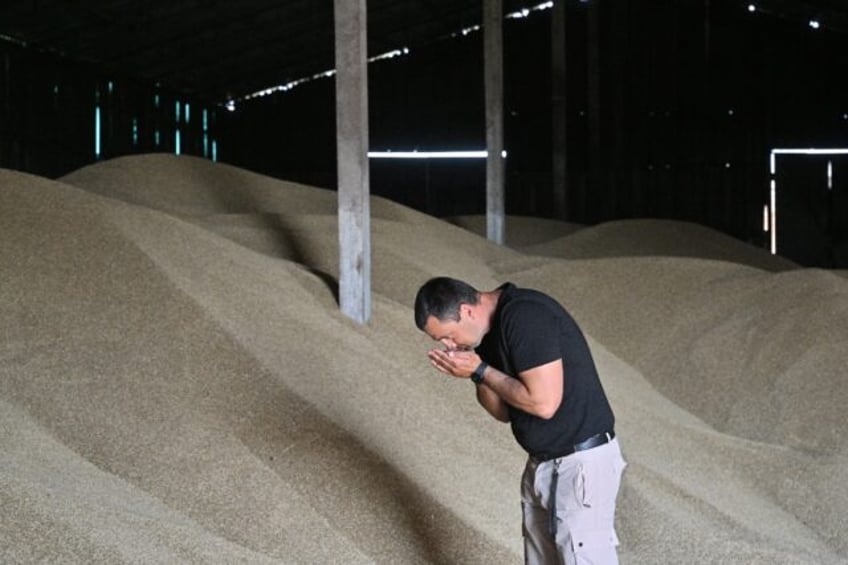 no way out ukraine farmers lament collapse of grain deal