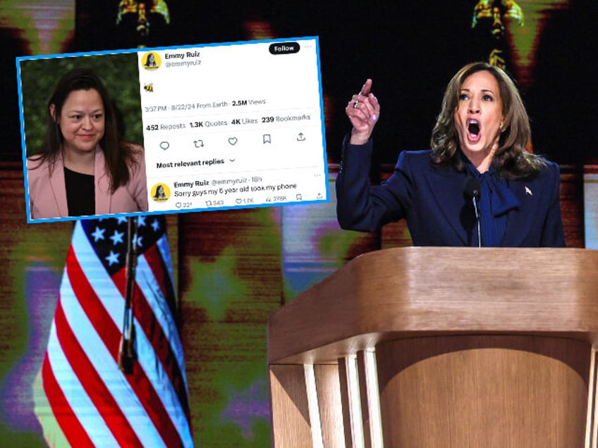 Chicago, Ill, Wednesday, August 21, 2024 - Vice President Kamala Harris delivers a speech