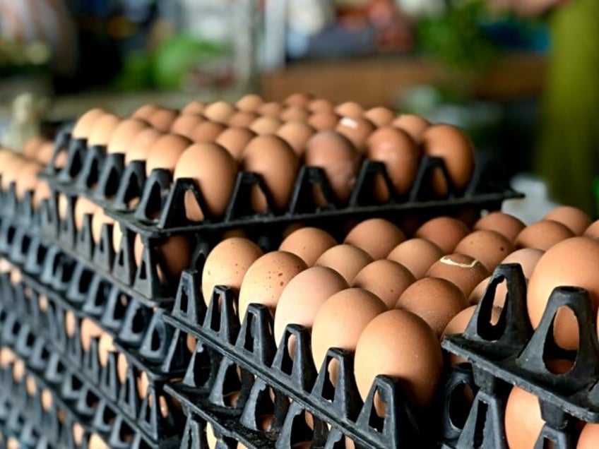 egg prices