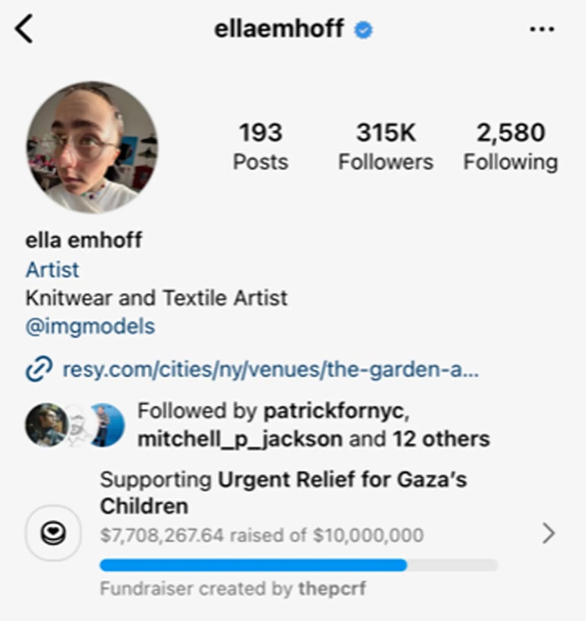 nolte kamala harris stepdaughter ella emhoff pushes 8 million gaza fund