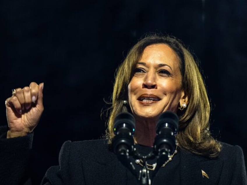 PHILADELPHIA, PENNSYLVANIA - NOVEMBER 05: Vice President Kamala Harris speaks during the c