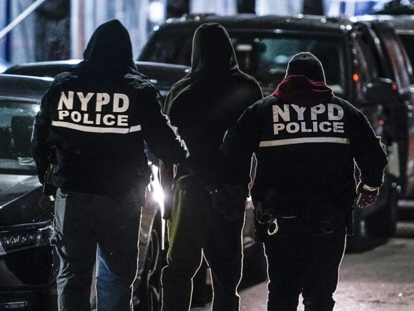 New York City police department officers escort a handcuffed suspect to a car during a rai