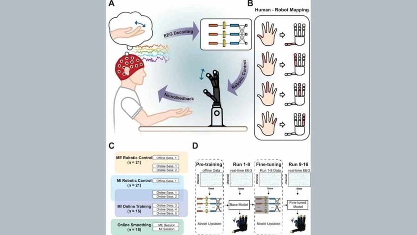 brain tech 3