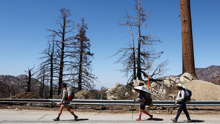 norovirus spread on the washington pacific crest trail what to know and how to protect yourself