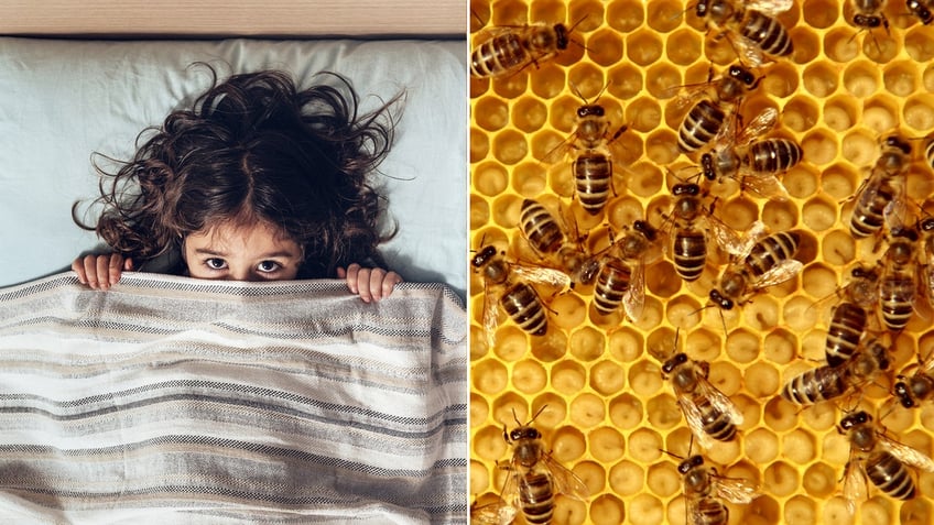 kid hears bees in walls split