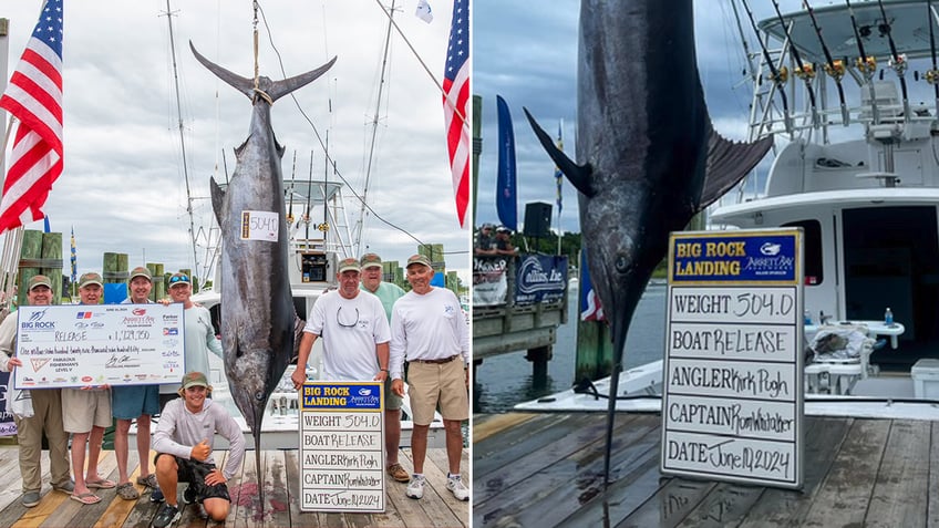 blue marlin record catch