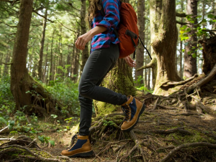 A woman hiking in a dense forest. - stock photo