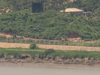 North Korean Man Dodges Landmines to Defect to South Korea