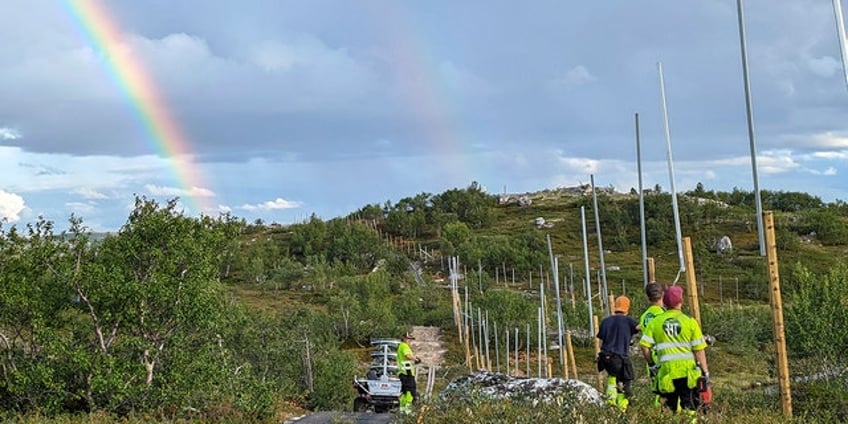 norway rebuilds fence along russian border to stop reindeer from wandering into the neighboring country