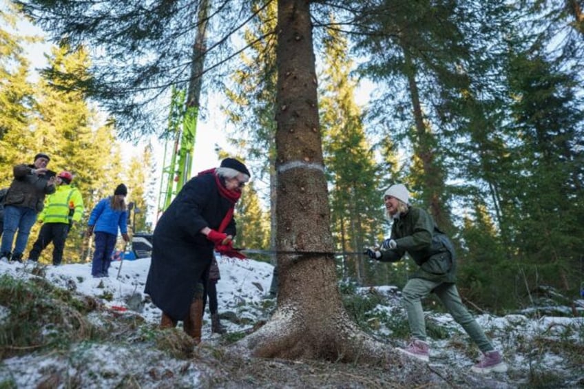 norways christmas tree gift gets london tongues wagging