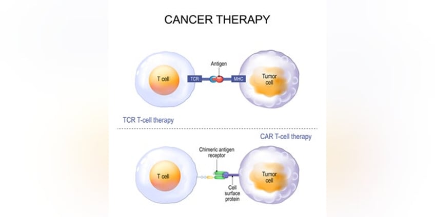 novel cancer treatment offers new hope when chemo and radiation fail big change in peoples lives