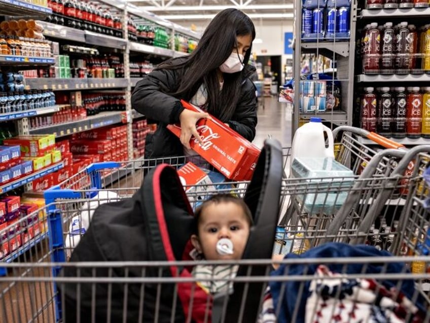 CLARKSVILLE, INDIANA - APRIL 24: Honduran immigrant Nani, 10, helps shop at Walmart a day