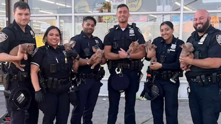 Nypd with rescued dogs