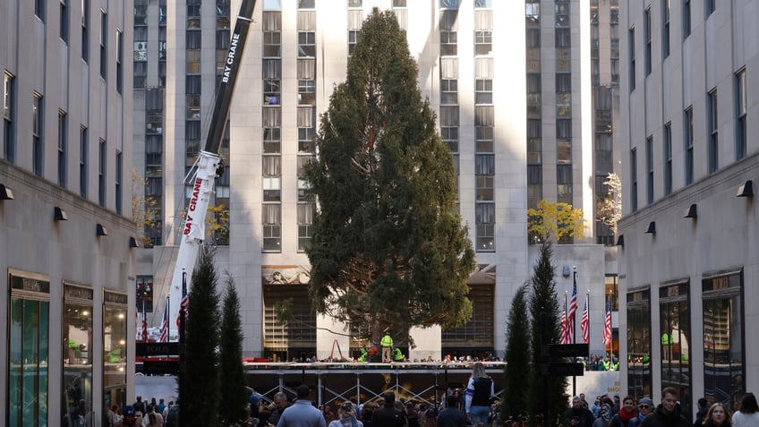 nypd warns of possible rockefeller center tree lighting disruptions by pro palestinian activists report