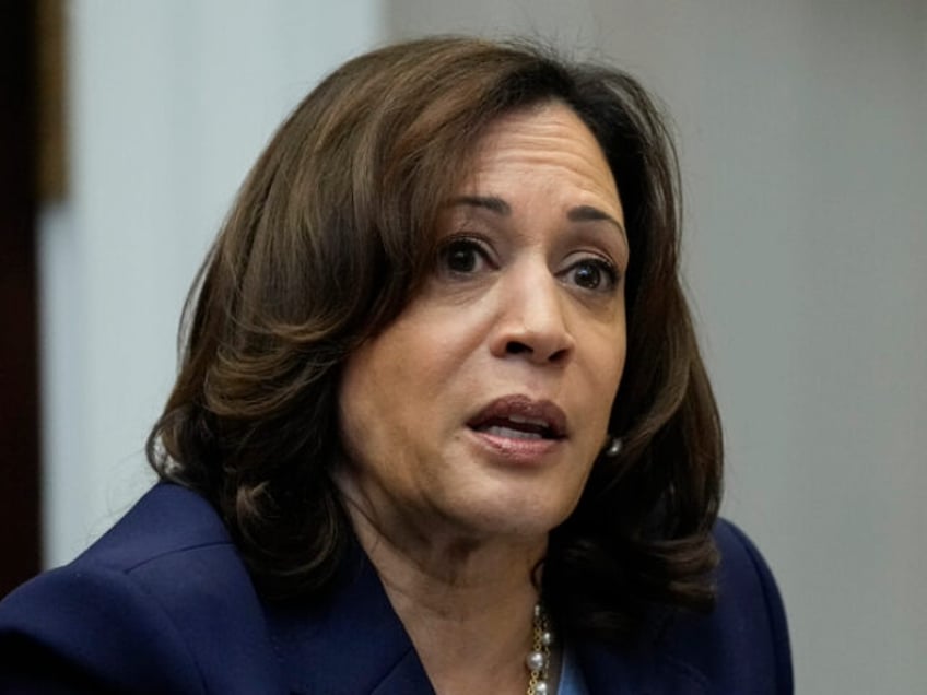 Vice President Kamala Harris speaks during a meeting with President …