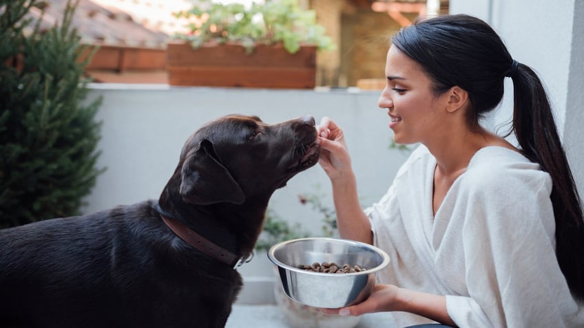 Woman feeding dog