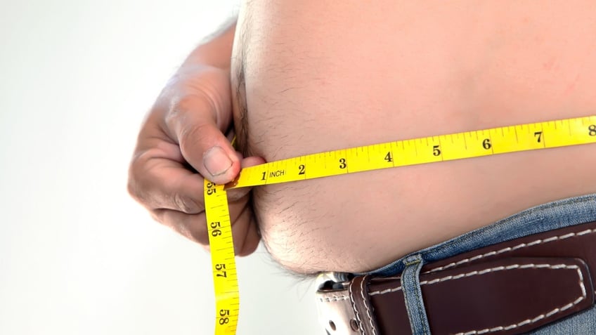 obesity maps cdc reveals which us states have the highest body mass index among residents