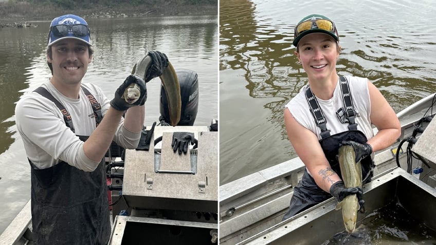 The Kansas Department of Wildlife still keeps fishing records for the fish in spite of its rare sightings in the state.