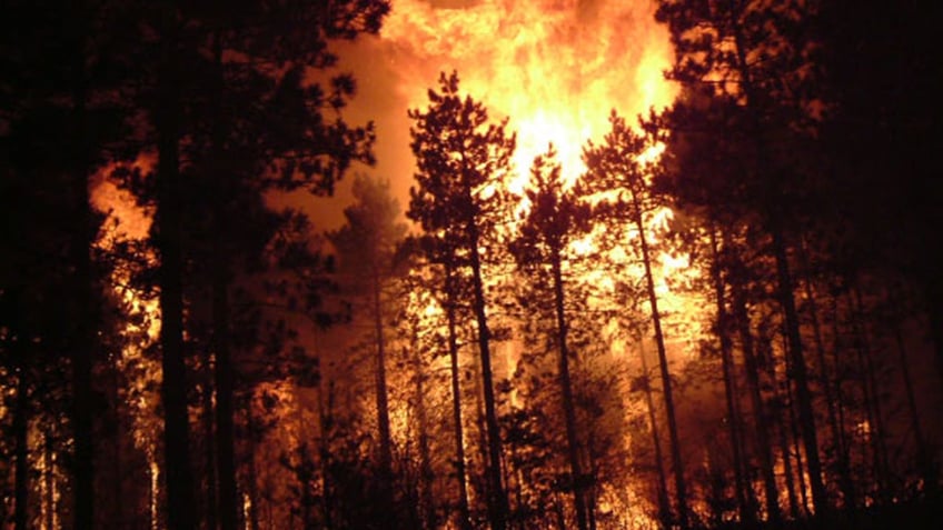 officials in north carolina declare state of emergency as wildfires burn hundreds of acres