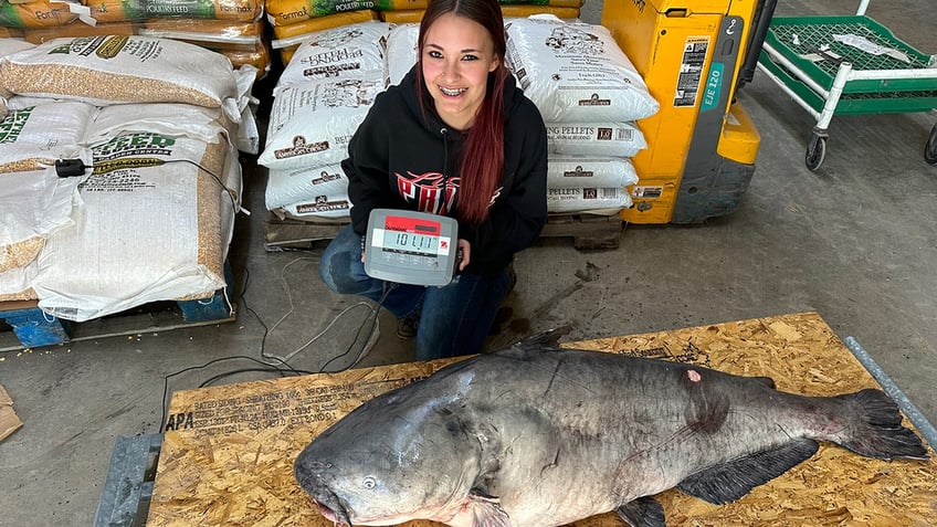 Parker-weighing-catfish