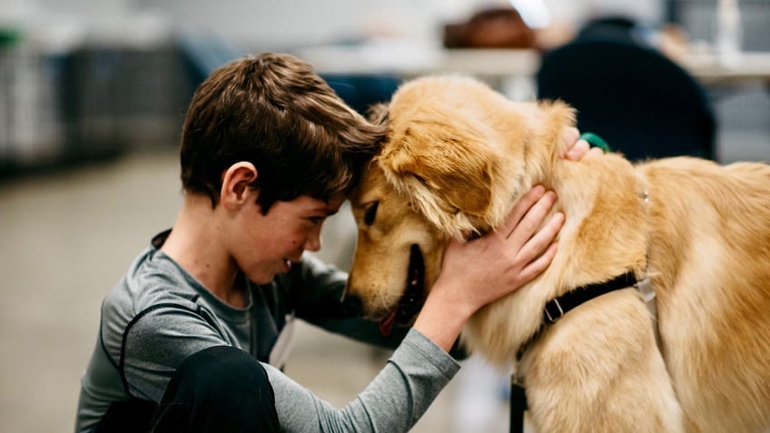 Boy with dog