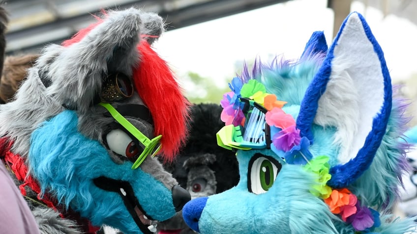 Two people dressed as furries face eachother.