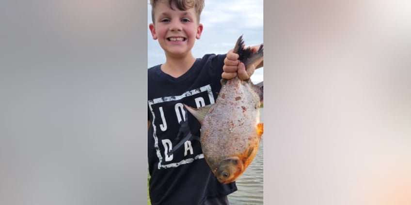 oklahoma boy catches exotic fish in neighborhood pond human like teeth