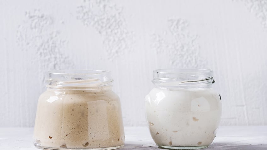 Sourdough starter in jars