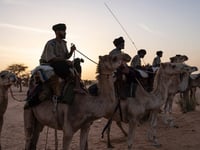 On patrol for jihadists with Mauritania’s camel cavalry