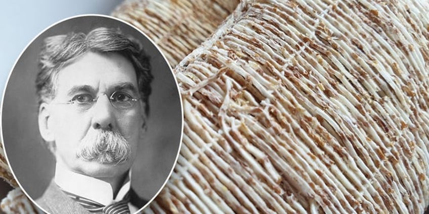 on this day in history august 1 1893 shredded wheat is patented wonder of the ages