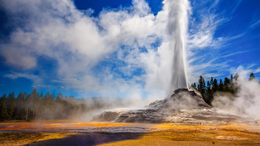 Castle Geyser erupting in Yellowstone in strong back light.