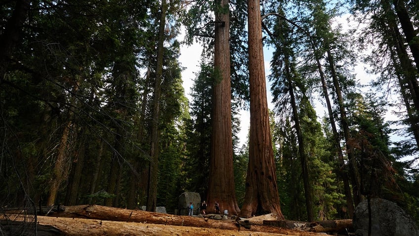 on this day in history september 25 1890 congress establishes sequoia national park in california