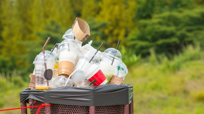Berkeley, Calif. is seeking to charge for all takeout containers in an effort to cut back on plastic waste.