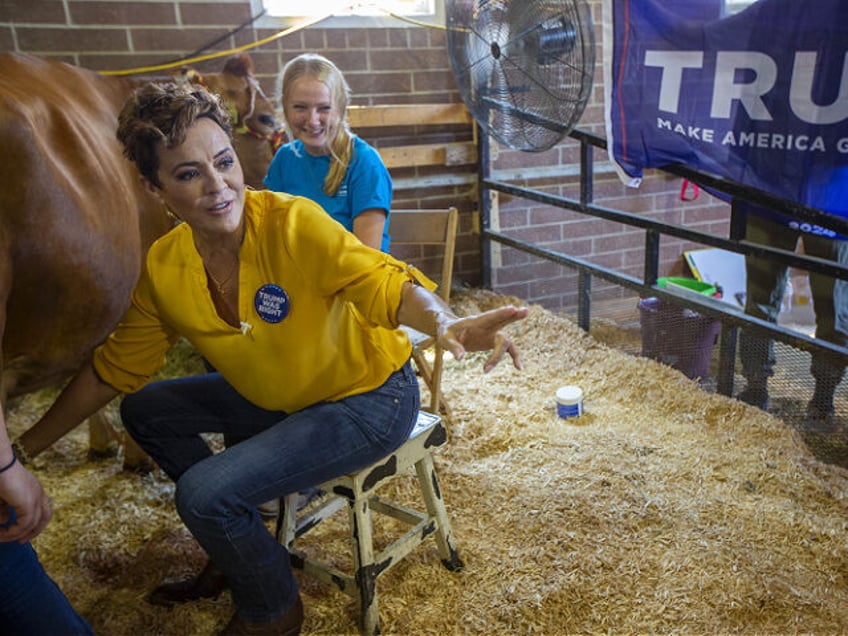 only two genders kari lake challenges nyt wapo reporters to milk a bull to see how that goes