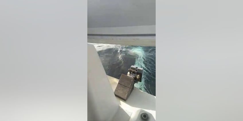 orcas attack boat off the coast of portugal for 30 minutes sailor sets off emergency alert