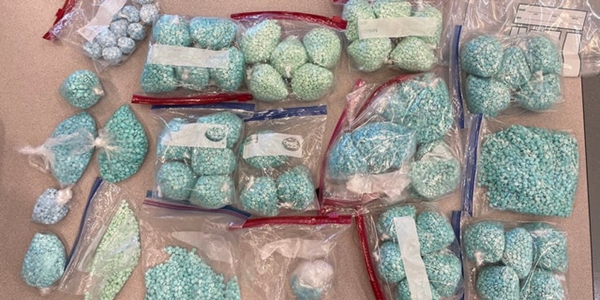 oregon deputies make largest fentanyl bust in county history