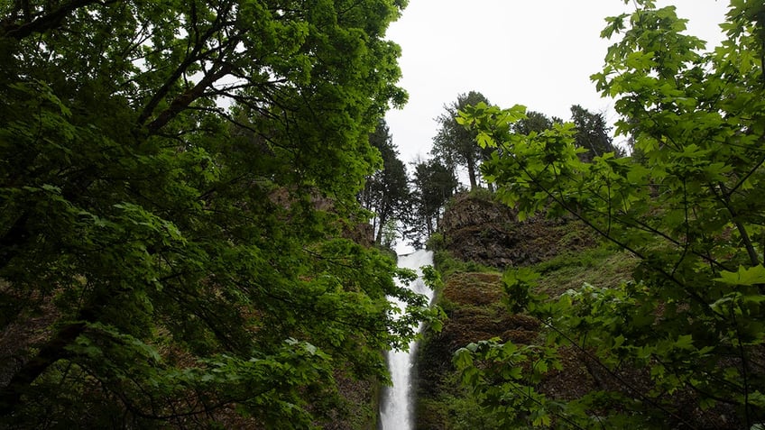 Horsetail Falls in Oregon