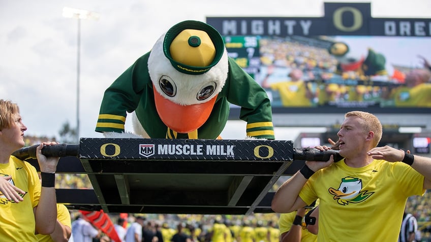 oregon mascot completes over 500 push ups thanks to teams onslaught vs portland state