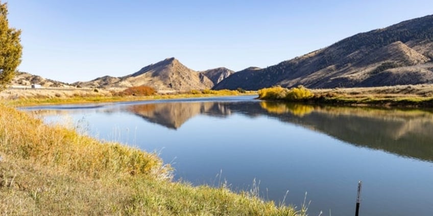 otter attack injures 3 women on montana river requiring airlift